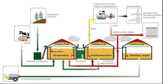 Il progetto: l impianto biogas oggi Sorgo Triticale Mais Graspi Tn 1.