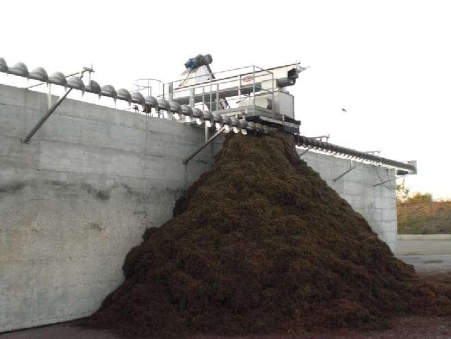 Le biomasse delle cantine