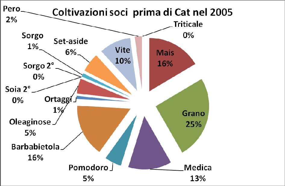 Il cambiamento: OCM zucchero 2005 La caratteristica delle coltivazioni