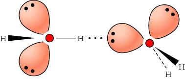 IL LEGAME IDROGENO L atomo di H, per diminuire la sua elevata energia, non potendo legare in modo covalente altri atomi, cerca di