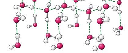 molecole di H 2 O, parzialmente compensata dalle nuove interazioni