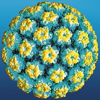 Nucleo Operativo HPV: Confortini, Iossa,,Mantellini, Paci, Zappa, Laboratorio Molecolare: Bisanzi, Burroni, Sani Laboratorio Citologia: Matucci, Bulgaresi, Troni,Turco, Maddau, tutti i citologi LP SC