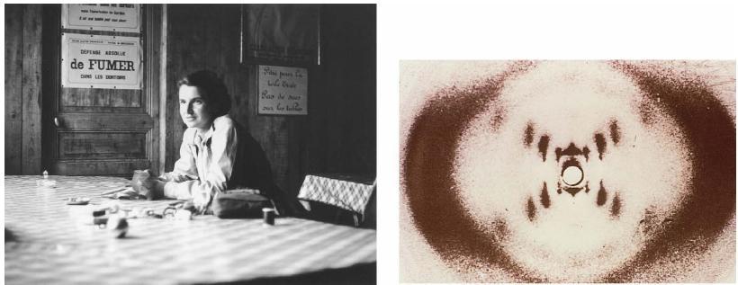 STRUTTURA DEL DNA Conferenza Cold Spring Harbor Laboratory (1953) Dati di Rosalind Franklin e M.