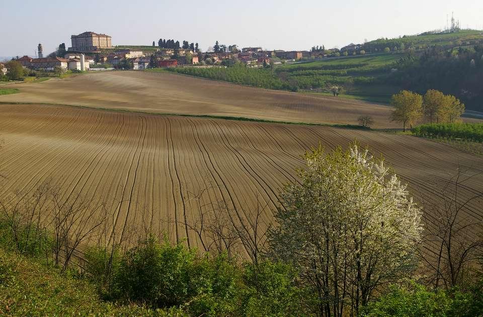 Giardino del