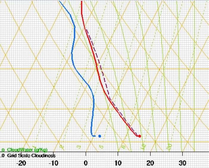 Immagine ingrandita di un sondaggio per evidenziare Le linee adiabatiche secche, adiabatiche sature, isoterme e isoigrometriche Curve verdi continue: Adiabatiche sature Linee