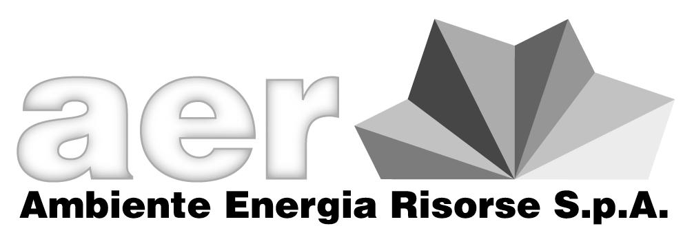 RELAZIONI E BILANCIO AL 31 DICEMBRE 2013 A.E.R. Ambiente Energia Risorse S.