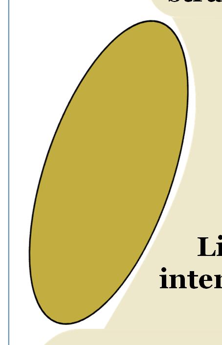 Le parti dell organizzazione Vertice strategico Linea intermedia Nucleo operativo Operano a diversi livelli Livello base: programmazione della produzione, gestione dei sistemi