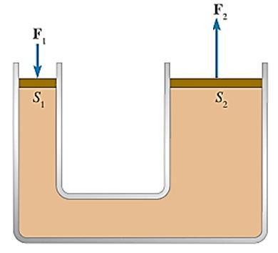 Principio di Pascal L aumento di pressione prodotto in un punto di un fluido si trasmette inalterato ad ogni altro punto del fluido.