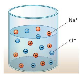 La dissociazione elettrolitica Gli ioni disciolti possono muoversi liberamente nell'acqua; il fenomeno di dissoluzione delle sostanze ioniche in acqua si chiama dissociazione elettrolitica o ionica.