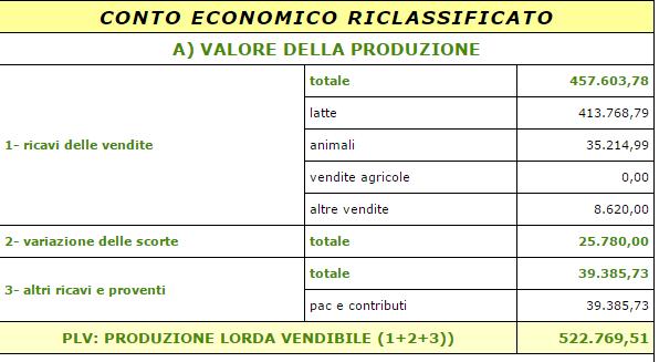 Risultanze finali: Conto economico