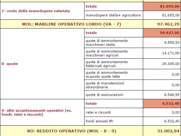 Risultanze finali: Conto economico riclassificato: