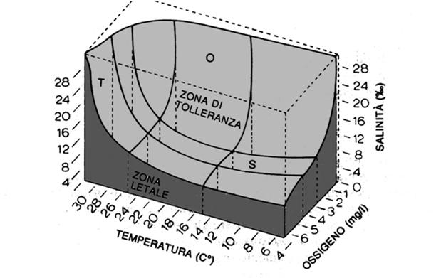 Fattori limitanti: Moto ondoso Correnti Temperatura Percentuale di sostanze solide