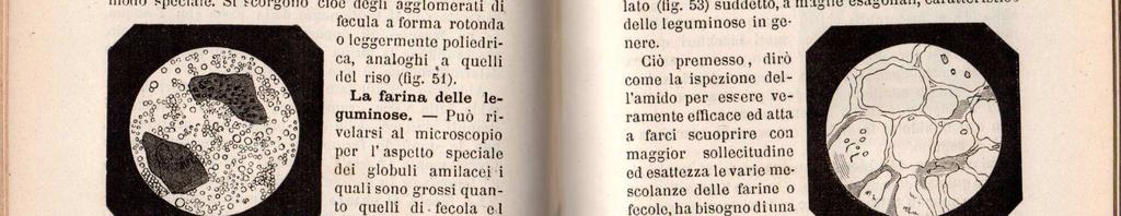 pp. XX, 330, bella leg. m. perg.