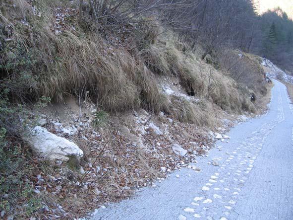 3. realizzazione di interventi puntuali di rimozione di piccoli massi instabili, lungo la scarpata di monte della Strada della Miniera ed eventuale scoronamento, ove necessario.