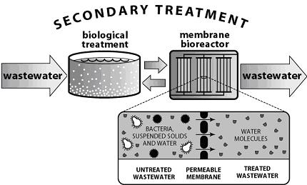 completamente dalla membrana Elevato tempo di detenzione cellulare Minore ingombro rispetto alla
