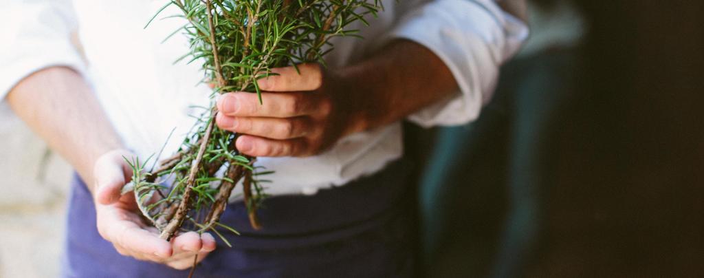 ALIMENTAZIONE Investiamo tutto il nostro impegno e la nostra passione per garantire gli ingredienti più freschi e sani attraverso un menù stagionale focalizzato sul territorio e coltivando un