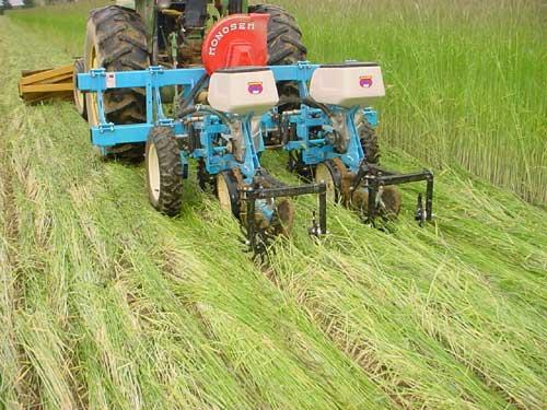 Planting soybeans