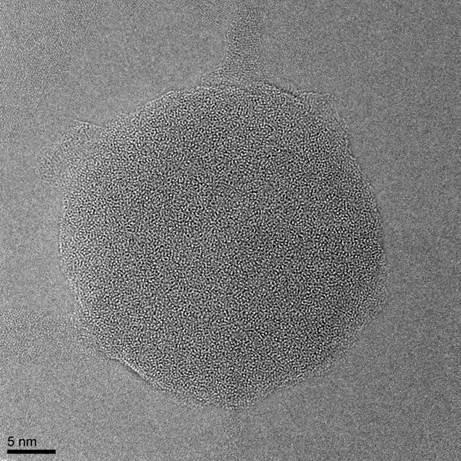 Grafene, etc.. Nanoparticelle M/MO: Si, SiO 2, TiO 2, ZnO,.