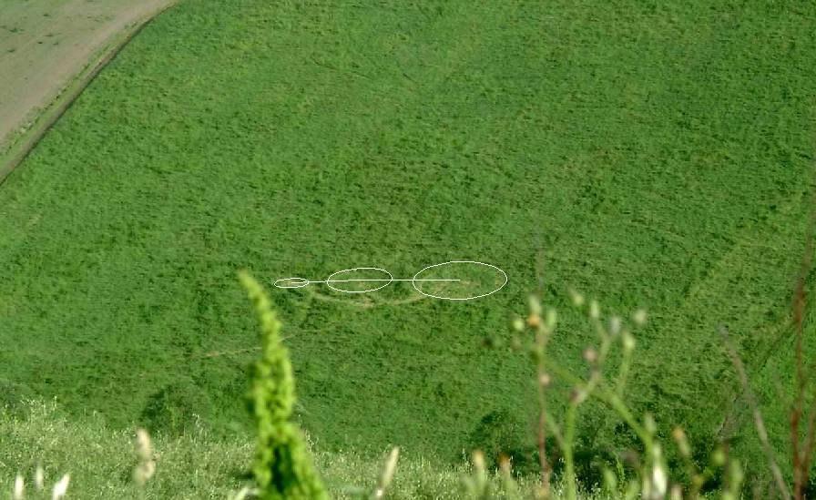 Tra i primi ad accorrere sul posto per verificare il caso sono stati i ragazzi del Gruppo Accademico Ufologico Scandicci (GAUS). Vediamo allora le loro foto e le loro impressioni.