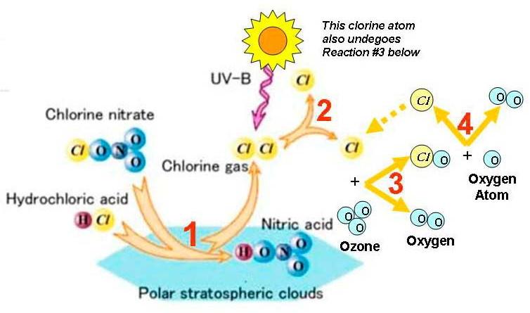 Il buco dell'ozono in Antartide (III) Schema