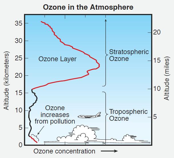 Distribuzione dell'ozono nell'atmosfera La maggior parte dell ozono naturale (90%) si trova nella stratosfera, che inizia intorno a 10-16 km dalla superficie della