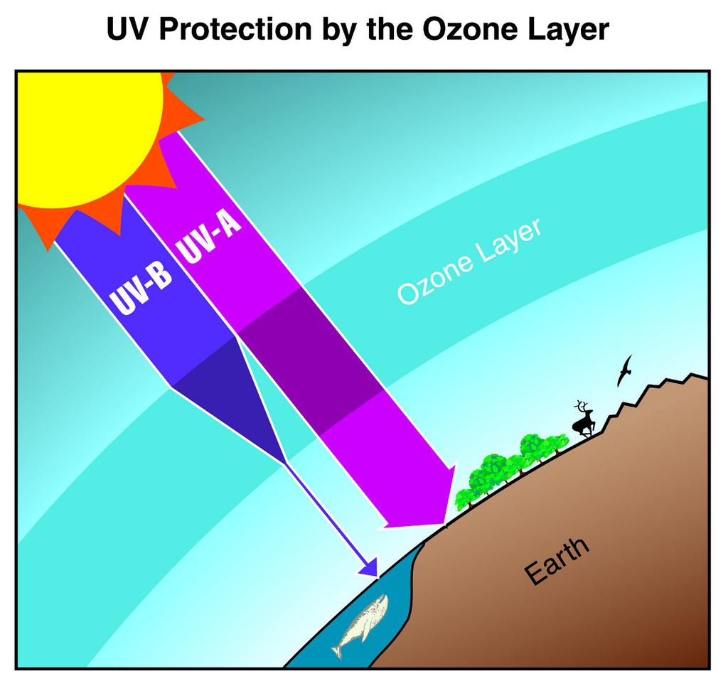 L'ozono e le radiazioni UV L ozono nella stratosfera quindi, assorbe gran parte della radiazion UV proveniente dal Sole.