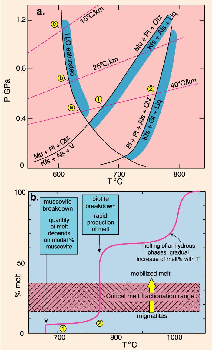 Le condizioni più realistiche in cui avviene la fusione parziale sono "vapour-absent/dehydration melting conditions" coincidenti con le reazioni di "breakdown" fasi idrate (Ms,Bt, Hbl) fusi granitici