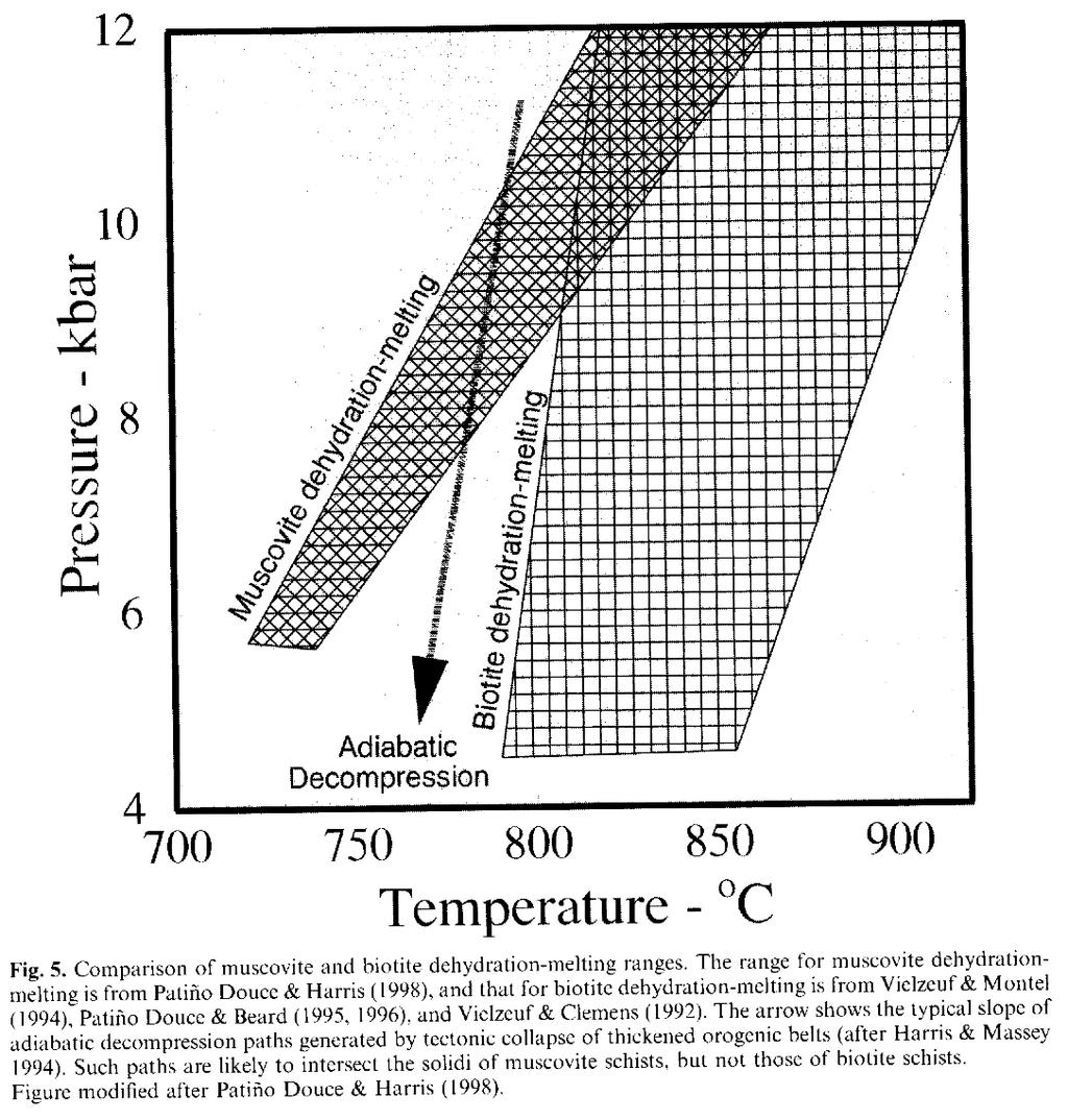 I leucograniti peralluminosi sono le sole rocce granitiche di origine puramente crostale* - Si formano per reazioni di dehydration-melting della muscovite in rocce metapelitiche a seguito della