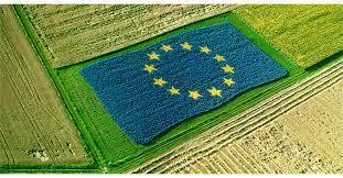 Innovazione: il contesto europeo 2014-2020 PAC Sviluppo Rurale 2014-2020 Innovazione: priorità, fattore chiave per le sfide dell agricoltura Strumenti: PSR,