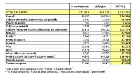 Statistiche ITALIA 2009 Totale Ha