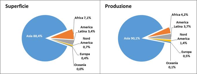 Ripartizione di superficie e produzione di riso nel mondo per aree geografiche Fonte: elaborazioni (2014) Nomisma su dati FAO.