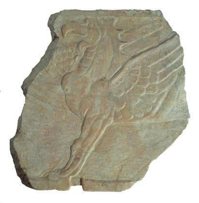 RDICI DEL PRESENTE SL 12 FRMMENTO DI SRCOFGO Lastra frammentaria appartenente alla fronte laterale sinistra di un sarcofago, decorata con la figura di un grifone alato con la zampa destra sollevata.