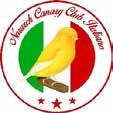 Premiazione Speciale Offerta da Norwich Canary Club Italiano Best Norwich Singolo Coccarda Club Best