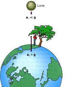 Il passo successivo di Newton è confrontare la caduta verticale di un corpo in prossimità della superficie terrestre con la caduta centripeta della luna.