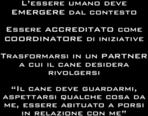 Perché il cane non mi ascolta?