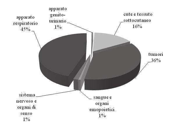 LE NUOVE VALUTAZIONI DEL RISCHIO DA 54 AGENTI CHIMICI PERICOLOSI E RisCh'2011 Malattie professionali non tabellate La ricerca per codice nosologico ha permesso di individuare le principali categorie