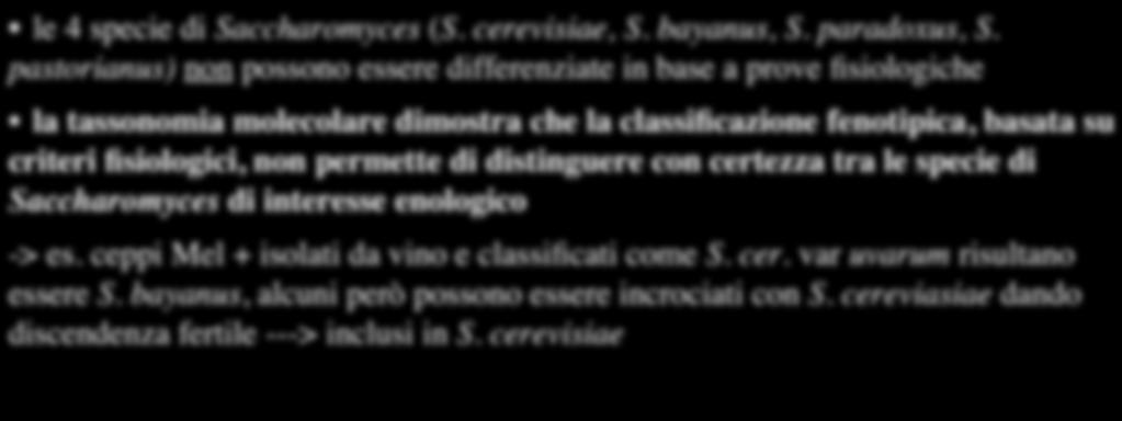 bayanus, alcuni però possono essere incrociati con S. cereviasiae dando discendenza fertile ---> inclusi in S.