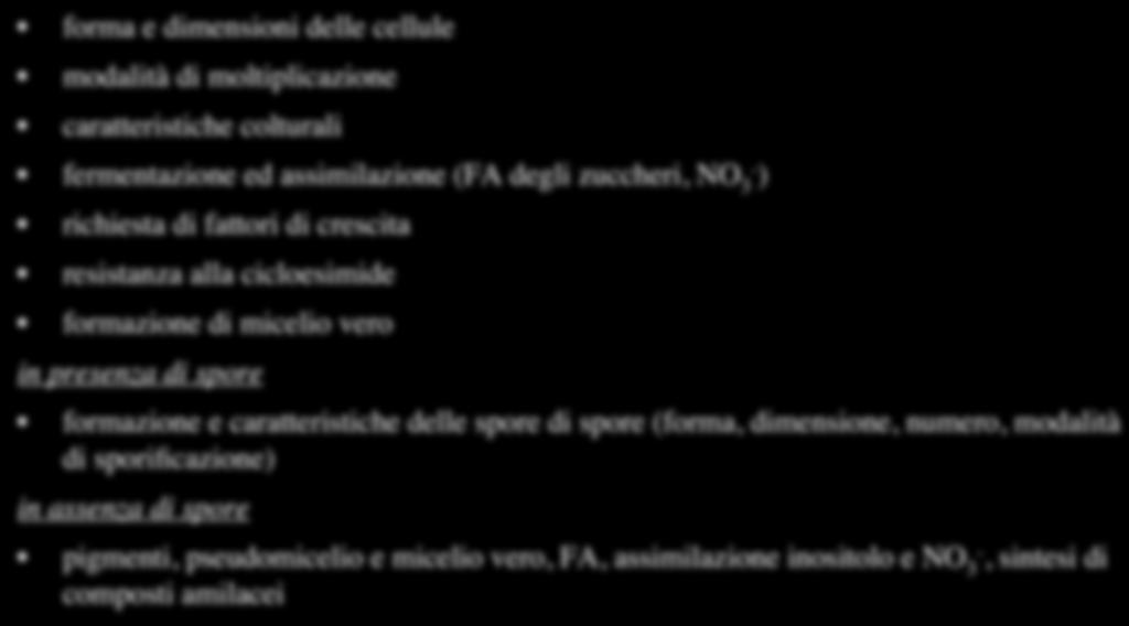 CRITERI MORFOLOGICI E FISIOLOGICI DI INTERESSE TASSONOMICO forma e dimensioni delle cellule modalità di moltiplicazione caratteristiche colturali fermentazione ed assimilazione (FA degli zuccheri, NO