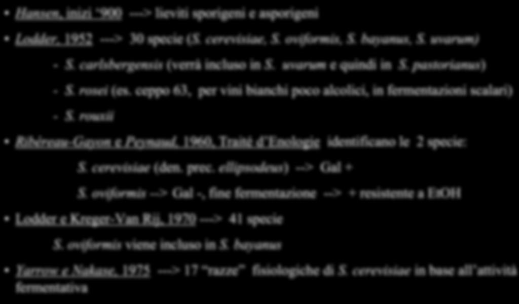 Hansen, inizi 900 ---> lieviti sporigeni e asporigeni Lodder, 1952 ---> 30 specie (S. cerevisiae, S. oviformis, S. bayanus, S. uvarum) - S. carlsbergensis (verrà incluso in S. uvarum e quindi in S.