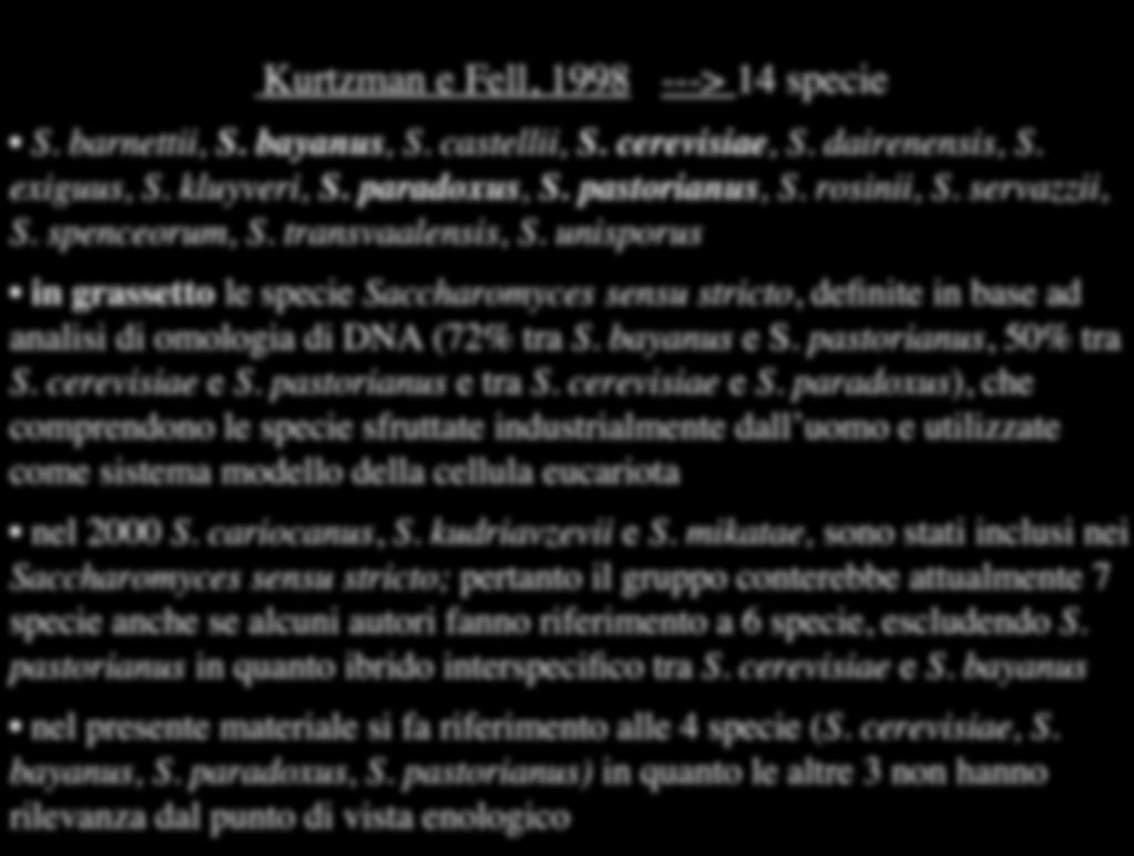 Kurtzman e Fell, 1998 ---> 14 specie S. barnettii, S. bayanus, S. castellii, S. cerevisiae, S. dairenensis, S. exiguus, S. kluyveri, S. paradoxus, S. pastorianus, S. rosinii, S. servazzii, S.