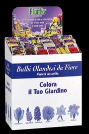 fiorite, da balcone e appartamento,