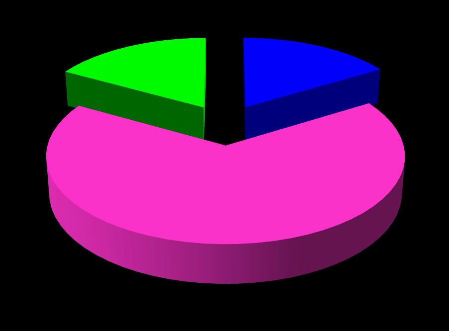 1.2.3 Distribuzione per fasce e sesso La distribuzione per fasce di età mostra che circa i due terzi della popolazione è compreso nella