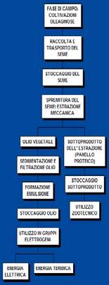 5. Olio vegetale IMPATTO AMBIENTALE VANTAGGI AMBIENTALI STUDIO DI FATTIBILITÀ