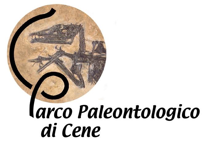 it Gli operatori dell Associazione Didattica Naturalistica del Museo di Scienze Naturali di Bergamo organizzano anche interventi didattici presso il Parco Paleontologico di Cene e il Monumento