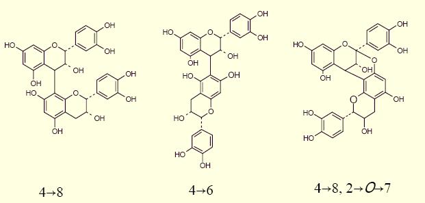 Catechine: legami tra le