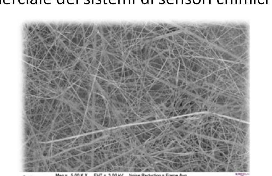 sistemi di sensori chimici nanostrutturati