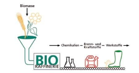 Il concetto di Bioraffineria La Bioraffineria si occupa di separare i componenti della biomassa nelle sue parti costituenti, per destinare ciascuna di esse all impiego che consente di ottenere la