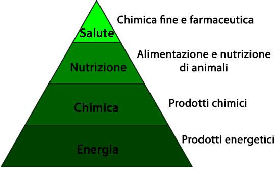 Il concetto di bioraffineria è analogo alle raffinerie di petrolio ma tende a superare il limite di una destinazione puramente energetica delle colture, proponendo un impiego della biomassa vegetale