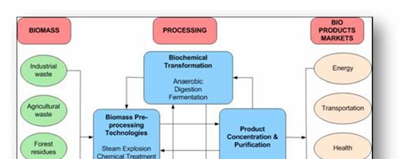 Le fasi del ciclo della Bioraffineria Le fasi del ciclo della Bioraffineria sono: - Separazione - Concentrazione - Purificazione - Raffinazione - Conversione La separazione avviene durante la