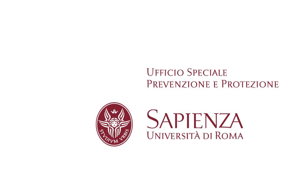 Simonetta Petrone Università degli Studi di Roma La Sapienza